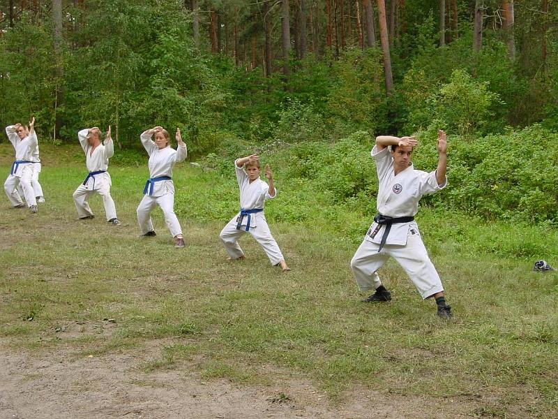 Heian Yodan 1.jpg